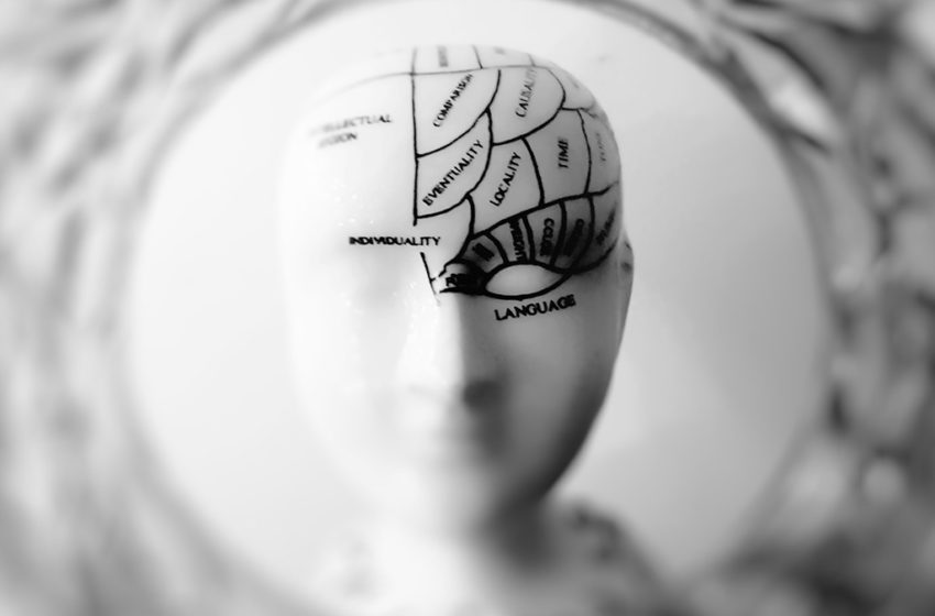  The ‘Left Brain’ And ‘Right Brain’ Approach To Marketing
