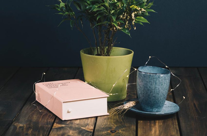  5 Best Books On Influencer Marketing