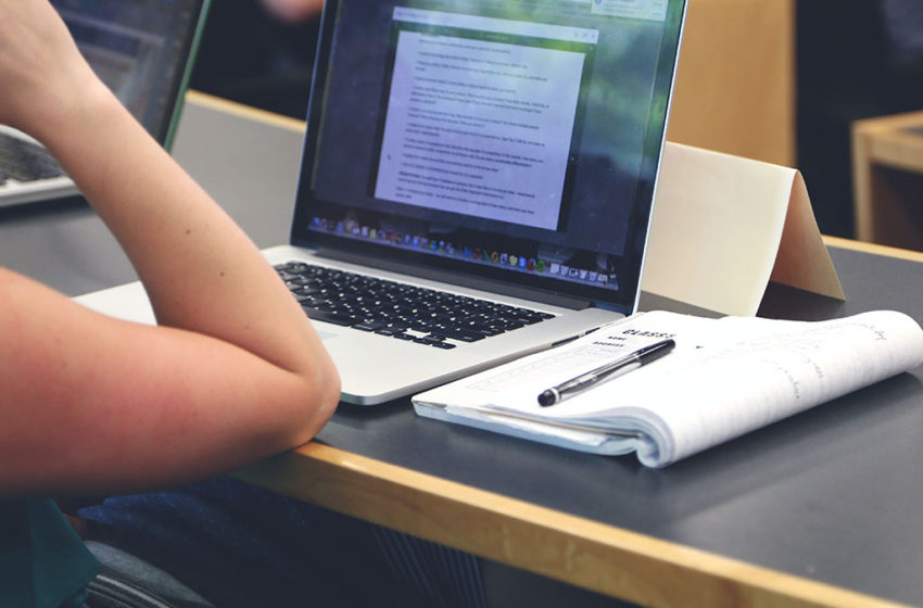  3 Content Tips For Students To Help Them In Their Professional Life